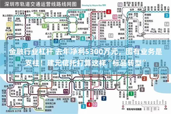 金融行业杠杆 去年净利5300万元，固有业务是支柱！建元信托打算这样“标品转型”