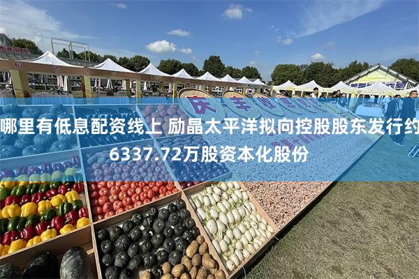 哪里有低息配资线上 励晶太平洋拟向控股股东发行约6337.72万股资本化股份