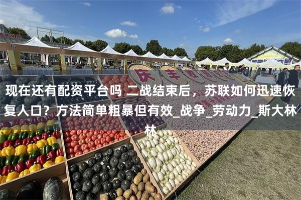 现在还有配资平台吗 二战结束后，苏联如何迅速恢复人口？方法简单粗暴但有效_战争_劳动力_斯大林