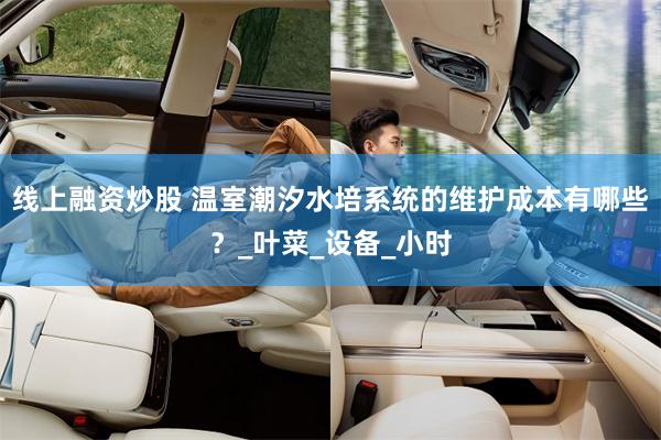 线上融资炒股 温室潮汐水培系统的维护成本有哪些？_叶菜_设备_小时