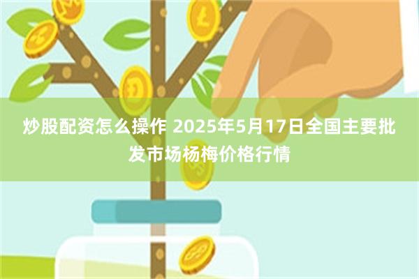 炒股配资怎么操作 2025年5月17日全国主要批发市场杨梅价格行情