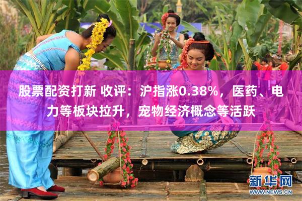 股票配资打新 收评：沪指涨0.38%，医药、电力等板块拉升，宠物经济概念等活跃