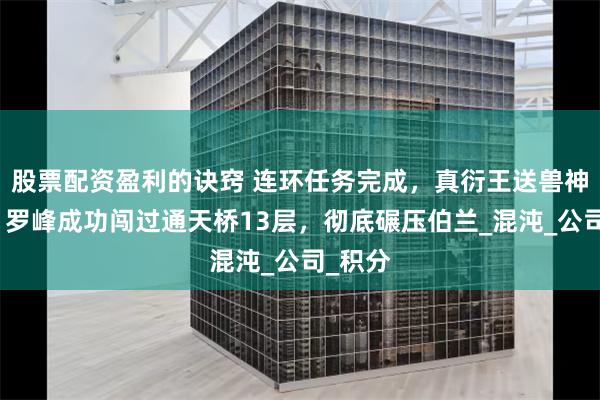 股票配资盈利的诀窍 连环任务完成，真衍王送兽神七杀，罗峰成功闯过通天桥13层，彻底碾压伯兰_混沌_公司_积分