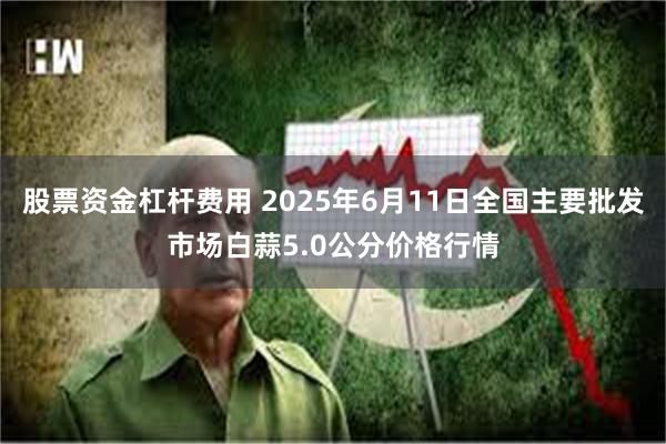 股票资金杠杆费用 2025年6月11日全国主要批发市场白蒜5.0公分价格行情