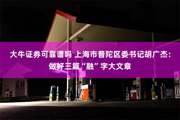 大牛证券可靠谱吗 上海市普陀区委书记胡广杰：做好三篇“融”字大文章