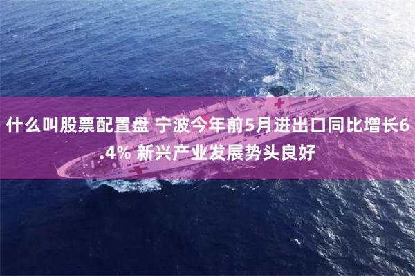 什么叫股票配置盘 宁波今年前5月进出口同比增长6.4% 新兴产业发展势头良好