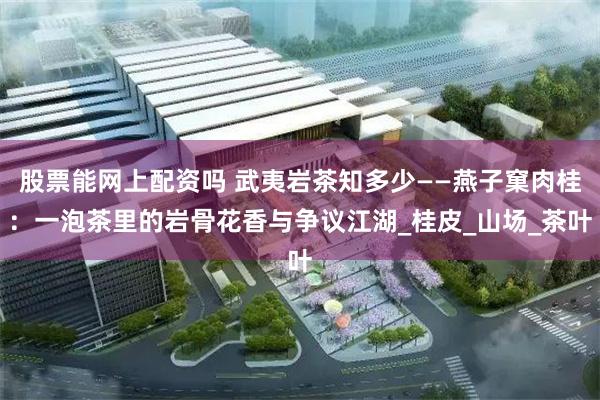 股票能网上配资吗 武夷岩茶知多少——燕子窠肉桂：一泡茶里的岩骨花香与争议江湖_桂皮_山场_茶叶