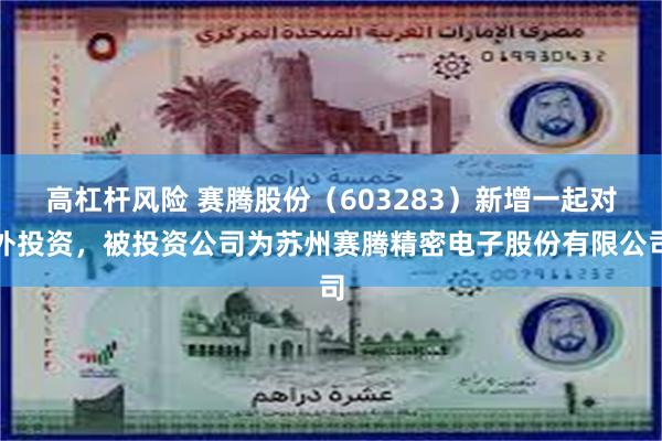 高杠杆风险 赛腾股份（603283）新增一起对外投资，被投资公司为苏州赛腾精密电子股份有限公司