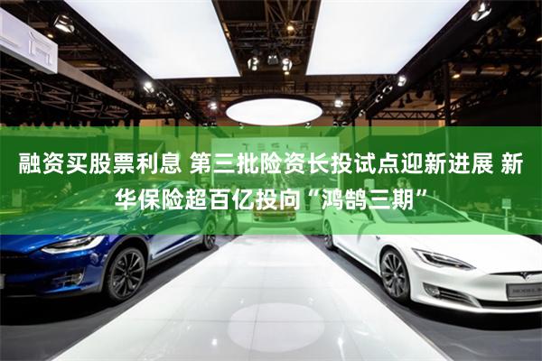 融资买股票利息 第三批险资长投试点迎新进展 新华保险超百亿投向“鸿鹄三期”