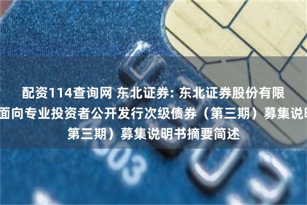 配资114查询网 东北证券: 东北证券股份有限公司2025年面向专业投资者公开发行次级债券（第三期）募集说明书摘要简述