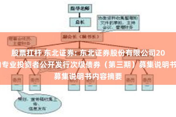 股票扛杆 东北证券: 东北证券股份有限公司2025年面向专业投资者公开发行次级债券（第三期）募集说明书内容摘要