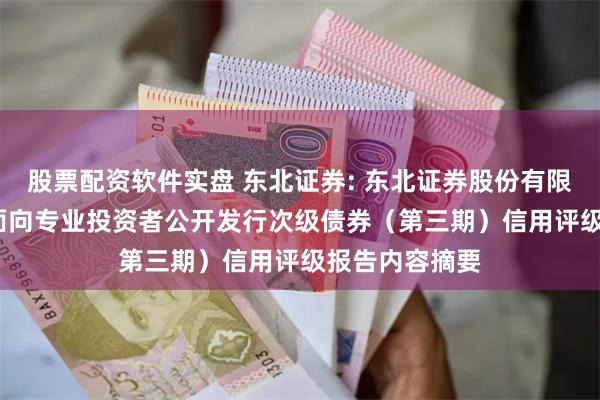 股票配资软件实盘 东北证券: 东北证券股份有限公司2025年面向专业投资者公开发行次级债券（第三期）信用评级报告内容摘要