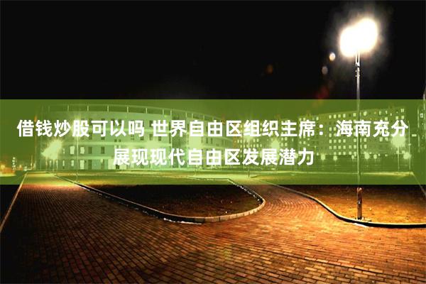 借钱炒股可以吗 世界自由区组织主席：海南充分展现现代自由区发展潜力
